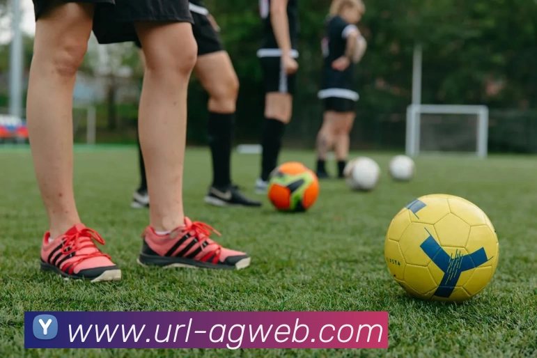 AG娱乐APP 高清赛事图